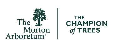 Morton Arboretum Logo