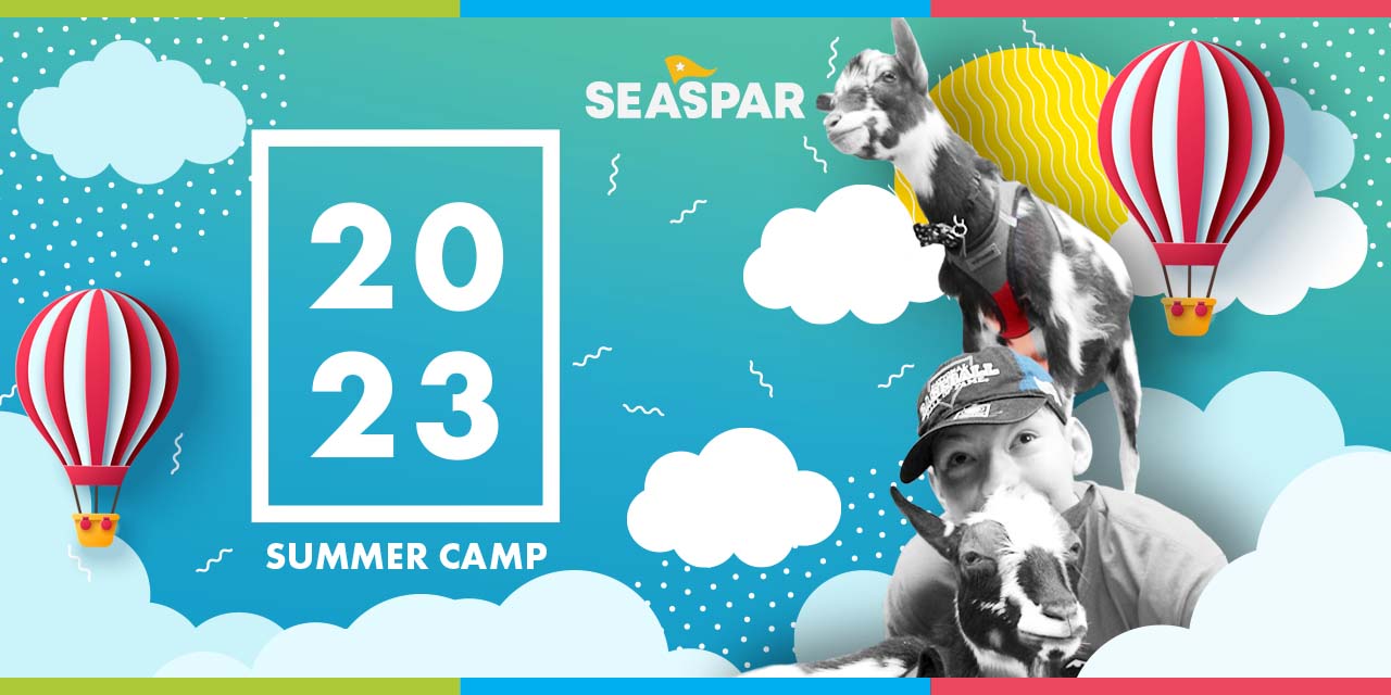 Am image featuring a smiling young boy surrounded by goats, illustrated clouds, hot-air balloons, and text that reads, "SEASPAR, 2023 Summer Camp."